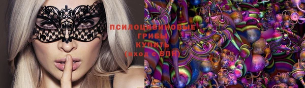 mdpv Богданович
